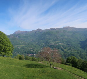 img_2995.jpeg