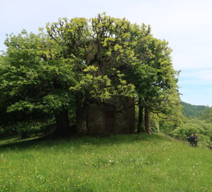 img_3519.jpeg