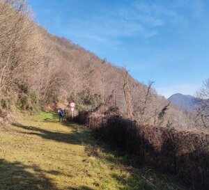 2c170375-f34b-4625-8383-c4332f07f389