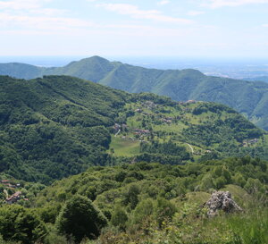 img_3504.jpeg