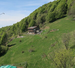 img_2951.jpeg