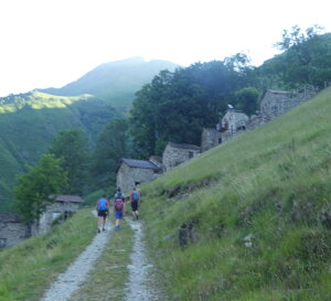 p1120171.jpeg
