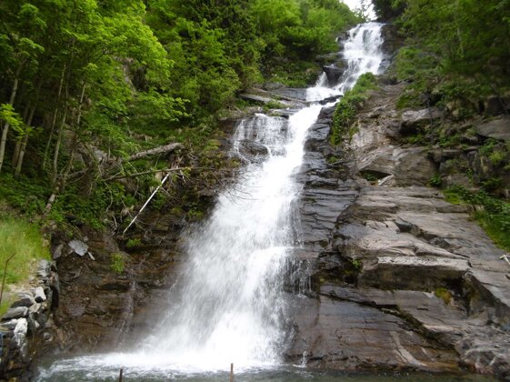 a749b438-771c-4c3a-8cae-82a75174e89e a749b438-771c-4c3a-8cae-82a75174e89e