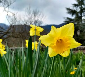 2b789fe6-0bdd-475e-a19f-62e4eef50628.jpeg 2b789fe6-0bdd-475e-a19f-62e4eef50628.jpeg