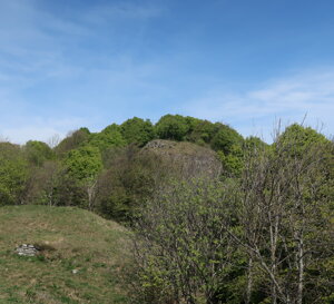 img_2978.jpeg
