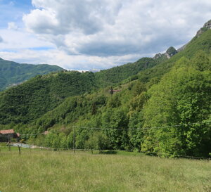 img_3507.jpeg