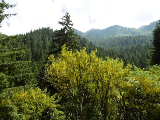 59974b23-76ec-4367-bf01-ed1e7050dd6a 59974b23-76ec-4367-bf01-ed1e7050dd6a