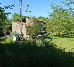 img_2805.jpeg