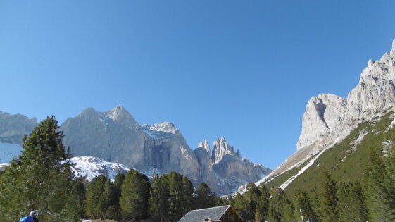 a0f88b7a-1ac4-4891-9d0e-454d4d918033