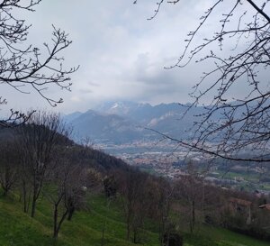 94a433bc-b2e2-4bb9-a7bd-e8df3ae5268d.jpeg 94a433bc-b2e2-4bb9-a7bd-e8df3ae5268d.jpeg