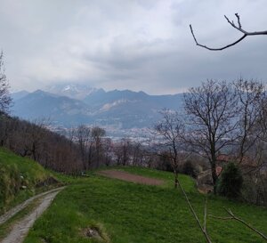 2c170375-f34b-4625-8383-c4332f07f389 2c170375-f34b-4625-8383-c4332f07f389