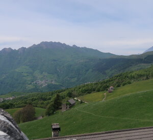 img_2964.jpeg