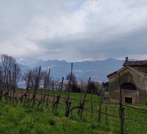 4e37e8d9-3bd0-4021-8686-4e792b9c1128.jpeg 4e37e8d9-3bd0-4021-8686-4e792b9c1128.jpeg