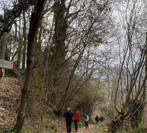 f2181468-a412-446a-873a-a5894e665326.jpeg f2181468-a412-446a-873a-a5894e665326.jpeg