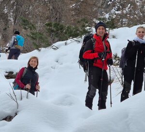 2c170375-f34b-4625-8383-c4332f07f389