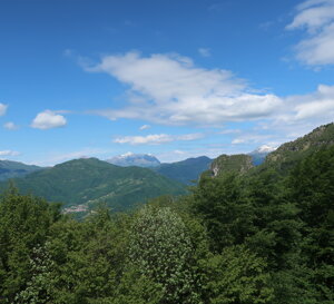 img_3481.jpeg