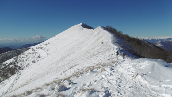 b9672aaa-f0a9-452d-935e-c5916eee2856