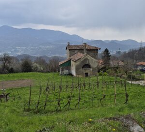 8b39abbc-41a4-4d28-8ad9-b1291c66470a.jpeg 8b39abbc-41a4-4d28-8ad9-b1291c66470a.jpeg