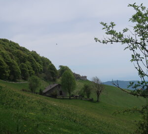 img_2925.jpeg