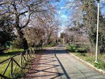 e4b90296-42d1-4421-84d1-83e4e4bbdd2d.jpeg e4b90296-42d1-4421-84d1-83e4e4bbdd2d.jpeg