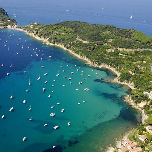 f8aec7bf-fc9e-472c-8ead-c771018def77