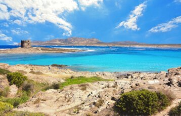 e28cce8f-8fbf-42ba-a010-fab0fa73626b