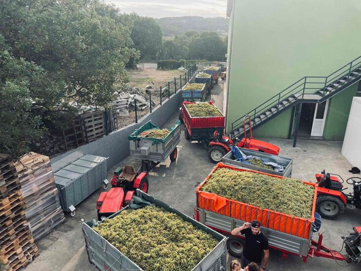 13b5827d-eb75-4599-a788-d72e4f59c47d