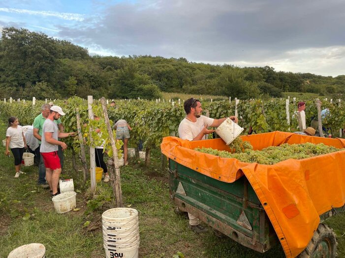 616affca-148a-457a-a7eb-cd1e51caa854