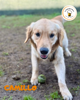 612c53cd-1b0d-4976-9adb-0154f2df375f