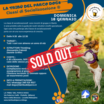 66b788a0-69d1-4d43-99f0-cceb03b6f3e3