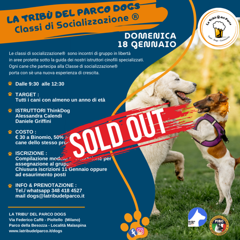 66b788a0-69d1-4d43-99f0-cceb03b6f3e3