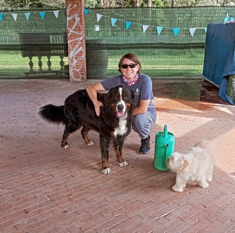 a14cbd55-4e1c-49eb-8ae8-a04a85cd6355 a14cbd55-4e1c-49eb-8ae8-a04a85cd6355