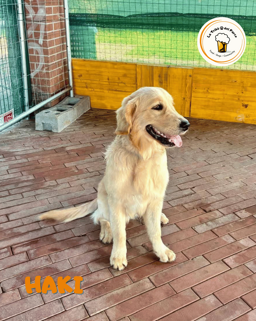 faca2a2a-d355-4d25-9169-5097f0ec3f7c