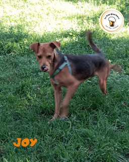 2e6ff51c-5d28-4923-874c-bac6c58e8095