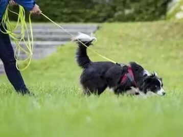 d446ba43-ad8b-48ff-a3d7-4ff53efe10f1