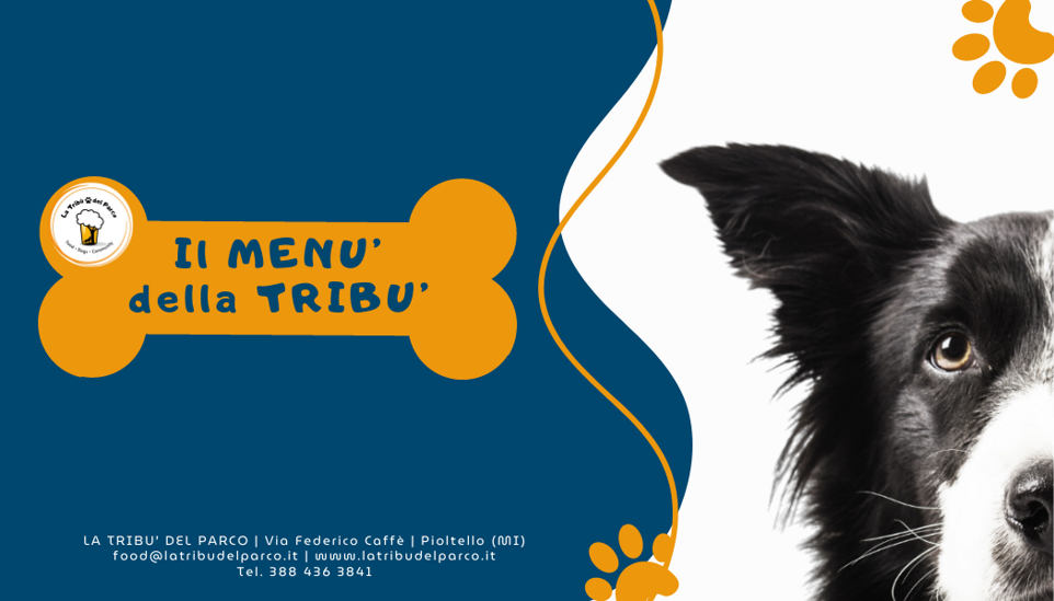 f0cdb33d-c0c8-4093-a230-270f2e79b4e7