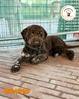 4a1ff762-05bc-4f02-b812-9e384ea6e36c