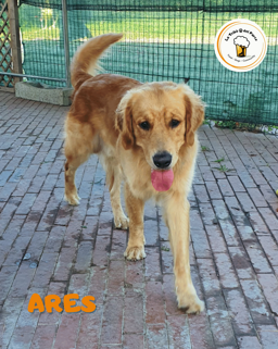 9d3ccc4f-67da-4a7d-805b-5070e369cdf5