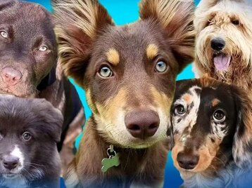 480342ae-7019-4bce-a370-867d358a318c