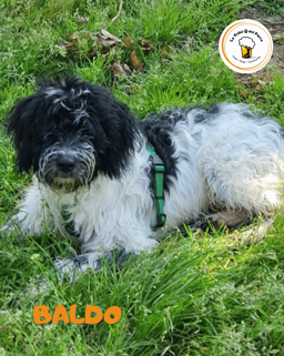 a7bf09f9-3c88-41aa-8d56-b5b67b4d858f