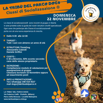 2025. dog (quadrato)