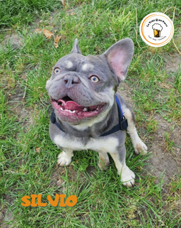 191cbd58-4e66-414f-895b-a6326cc0fc7e