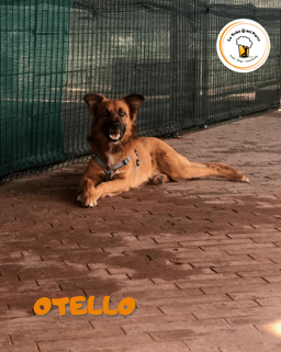 18155faf-336b-4124-a381-d03f93ece0d9