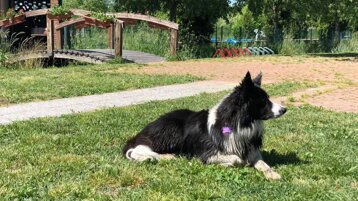 126c3900-efe0-4e44-83a1-b1314668f34a