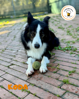 40f427ab-ad29-470b-9abf-be7ccec08f64