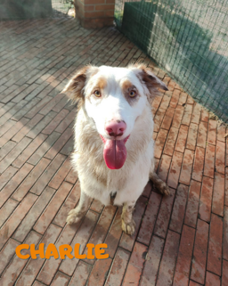 7ab6abb0-3d13-4c64-9008-78b5360761bd