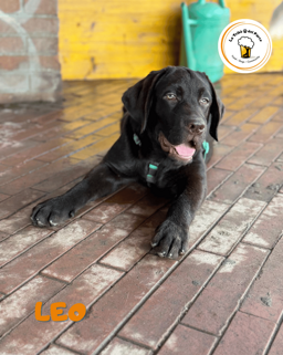 a7e11700-8b67-4873-89ec-924f4ece88fc