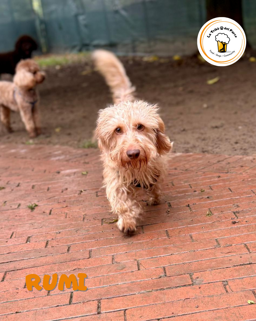 f8edb14d-9210-4193-8550-8c886c81992a