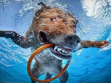 3bdc2a02-15e7-4f36-bd56-0526d350f8eb