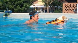 90f1da8f-deca-4e8d-b351-44418893a762